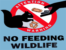 don't feed the wildlife