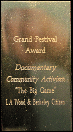 Graand Festival Award Berkeley's Oakgrove, Community Activism