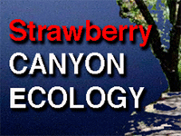 ecology of Strawberry Canyon in Berkeley