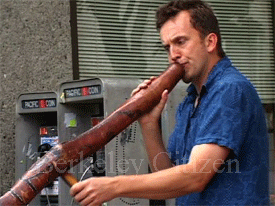 stephen Kent, Berkeley World Music