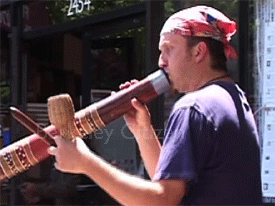 Stephen Kent, Berkeley World Music