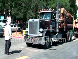 The Last Appeal for the Berkeley Stadium Memorial Oak Grove