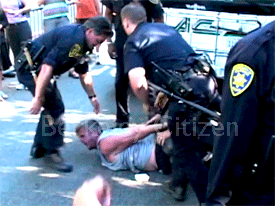 The Last Appeal for the Berkeley Stadium Memorial Oak Grove