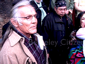 Berkeley Memorial Oak Grove