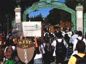 Berkeley oakgrove rally