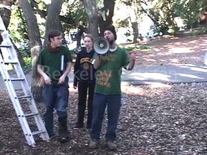 Ayr, Memorial Oak Grove 24-Hour Community Tree Sit-In