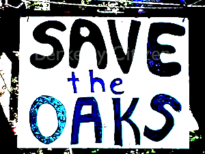 Memorial Oak Grove 24-Hour Community Tree Sit-In