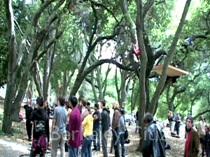 Oak Grove celebration Berkeley