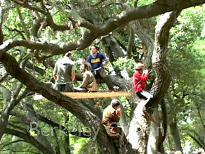Oak Grove celebration Berkeley