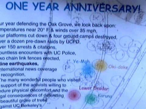 Berkeley Memorial Oak Grove Tree-sit Benefit