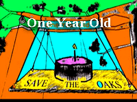 Berkeley Oak Grove Tree-sit first Birthday