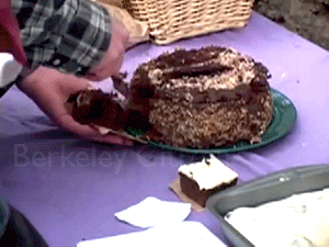 1st anniversary of Berkeley Oak Grove Tree-Sit