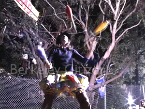 Cirkus Pandemonium at the Memorial Oak Grove