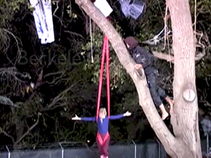 Cirkus Pandemonium at the Memorial Oak Grove