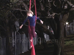 Cirkus Pandemonium at the Memorial Oak Grove