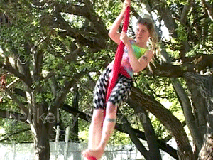 Cirkus Pandemonium plays the Memorial Oak Grove