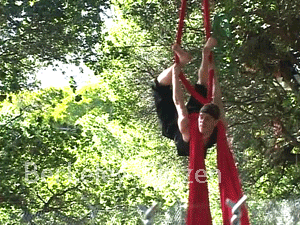 Cirkus Pandemonium plays the Memorial Oak Grove