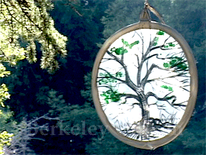 Dona Spring Oak Grove