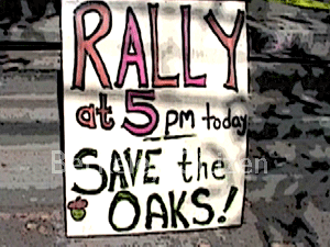 UC Police block food and water to Memorial Oak Grove Tree-sit