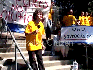 Free Trees, Free Speech, Berkeley Memorial Oak Grove