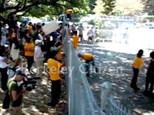 Free Trees, Free Speech, Berkeley Memorial Oak Grove