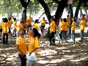 Free Trees, Free Speech, Berkeley Memorial Oak Grove