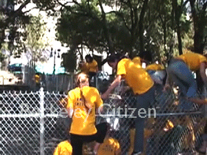 Free Trees, Free Speech, Berkeley Memorial Oak Grove