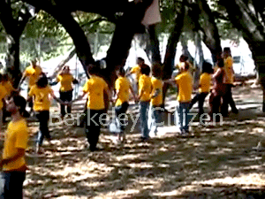 Free Trees, Free Speech, Berkeley Memorial Oak Grove