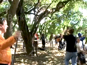 Maypole in the Berkeley Memorial Oak Grove