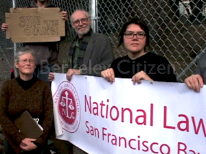 National Lawyers Guild at the Memorial Oak Grove tree-sit