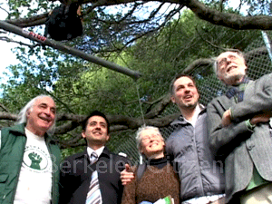 NLG Condemns Berkeley Police, University Actions Against Protesters Unlawful Arrests, Reckless Tactics Used Against Peaceful Tree-Sitters and Supporters