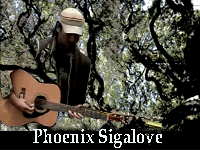 Phoenix Sigalove first days of the Oak Grove Tree-sit