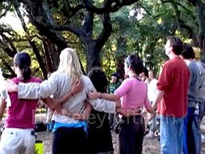 Summer Solstice and the Berkeley Memorial Oak Grove