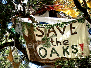 Veterans Day 2008 in Berkeley