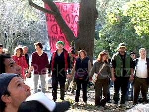 Berkeley Oak Grove Spiral Dance