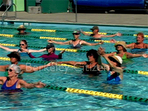 Berkeley Pools 