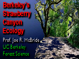 ecology of Strawberry canyon Berkeley