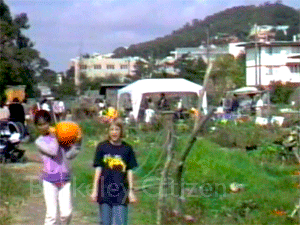 UC Berkeley Village Community Garden