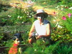 UC Berkeley Village Community Garden