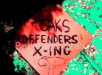 oak grove sign