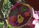 phoenix mask