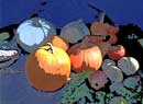 pumpkins