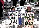 oak grove signs