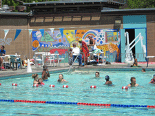 Willard Pool